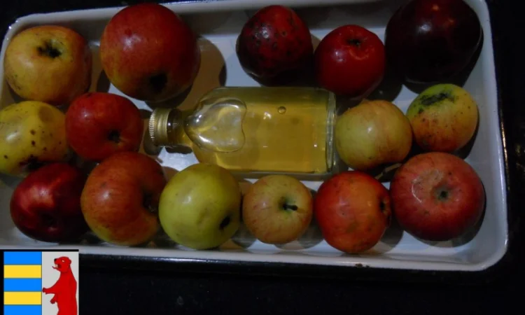 Яблочный уксус: правильная суточная доза для вашего здоровья - фото № 10