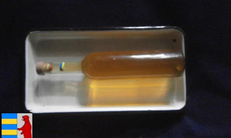 Яблочный уксус: правильная суточная доза для вашего здоровья - фото № 6