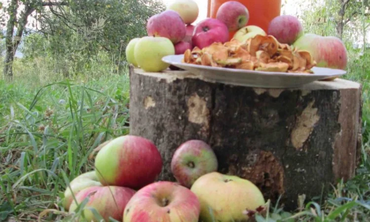 Уксус яблочный домашний с горного сада Карпат - фото № 2