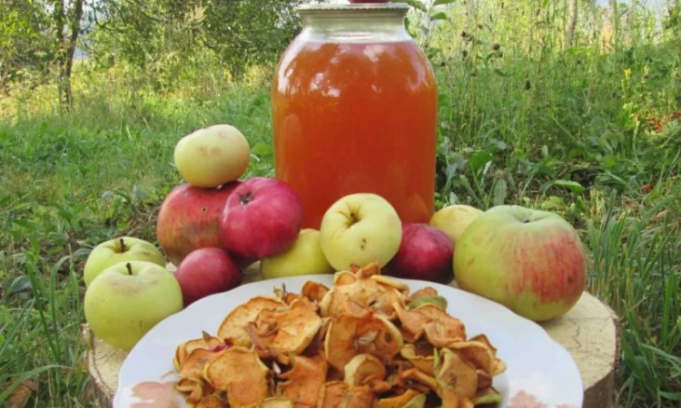 Уксус яблочный домашний с горного сада Карпат - фото № 3