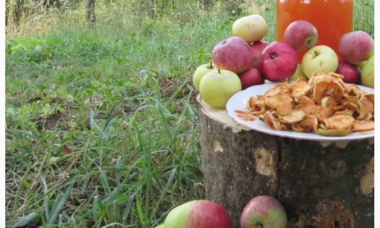 Уксус яблочный домашний с горного сада Карпат - фото № 4