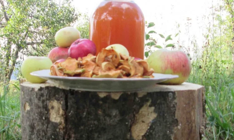 Уксус яблочный домашний с горного сада Карпат - фото № 5