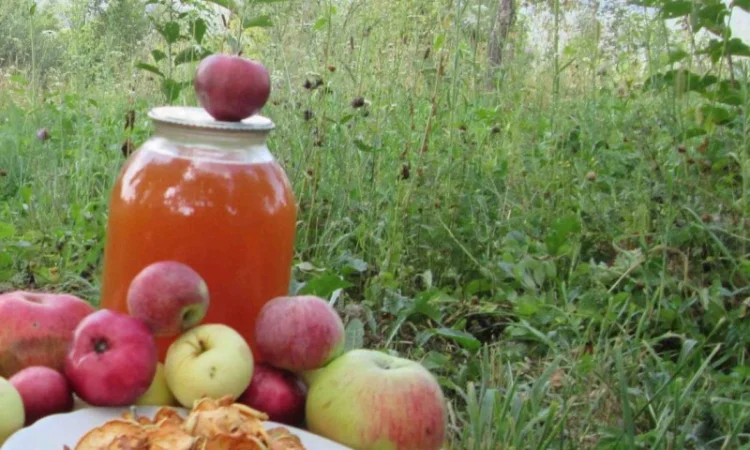 Уксус яблочный домашний с горного сада Карпат - фото № 6