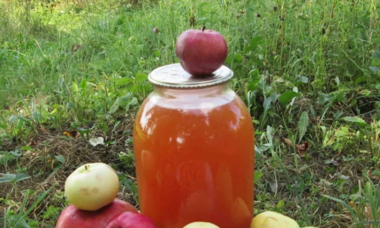 Уксус яблочный домашний с горного сада Карпат - фото № 7