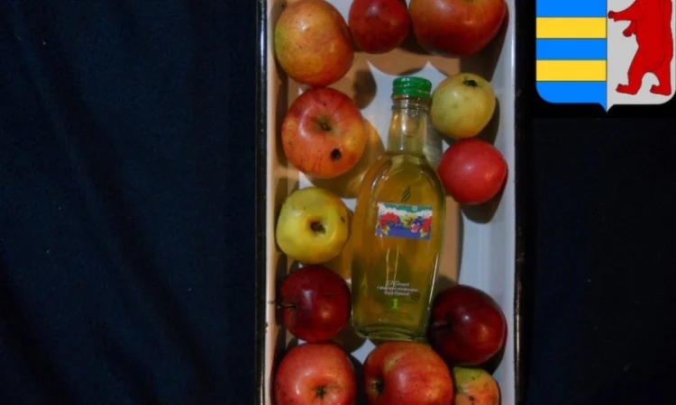 Яблочный уксус для масок волос: секрет красоты и здоровья ваших локонов - фото № 2