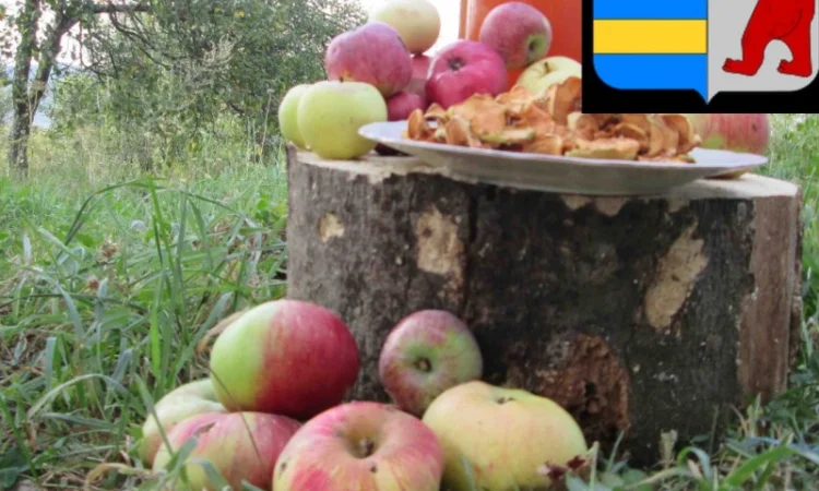 Яблочный уксус для масок волос: секрет красоты и здоровья ваших локонов - фото № 17