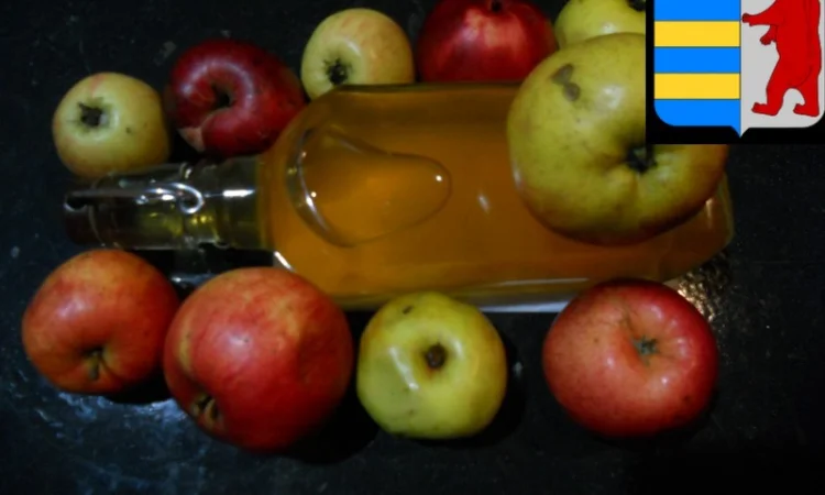 Ингаляции из яблочного уксуса: естественное облегчение дыхательных проблем - фото № 9