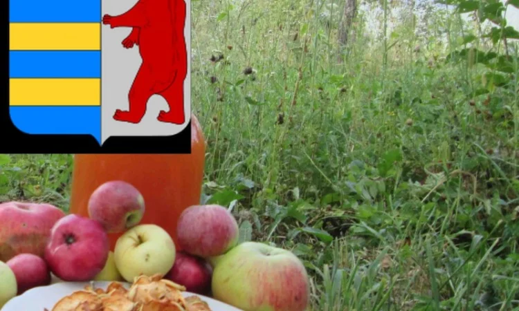 Яблочный уксус не пастеризованный - фото № 18