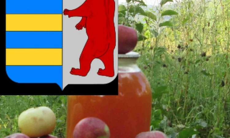 Яблочный уксус и кожа: что говорят исследования - фото № 3