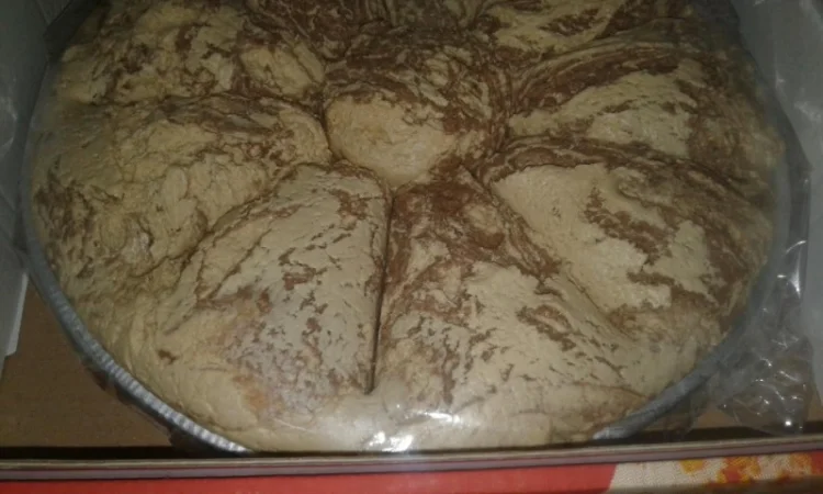 Халва Самаркандская, Турецкая, Тахинная, пастила оптом в розницу, Восточные сладости - фото № 9