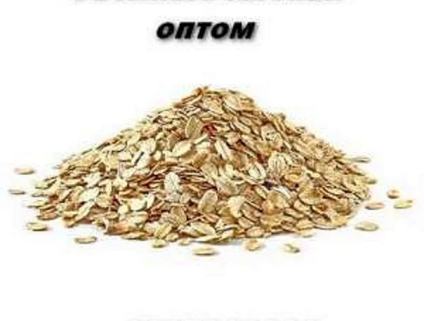 Овсяные хлопья оптом в Украине по выгодной цене - фото № 1