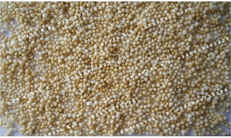 Амарант повітряний, підірваний, висаджений Puffed amaranth - фото № 1