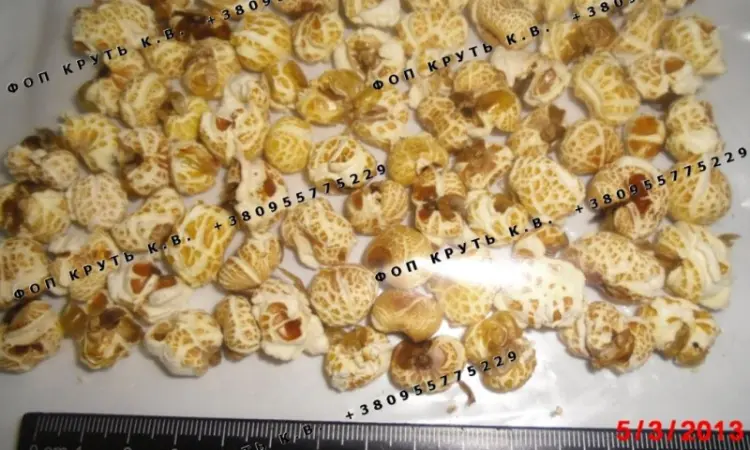 Повітряна кукурудза висаджена 1кг Puffed Corn - фото № 1