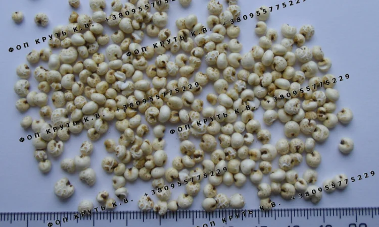 Повітряне пшоно 1кг для кондитерських виробів та сніданків - фото № 1