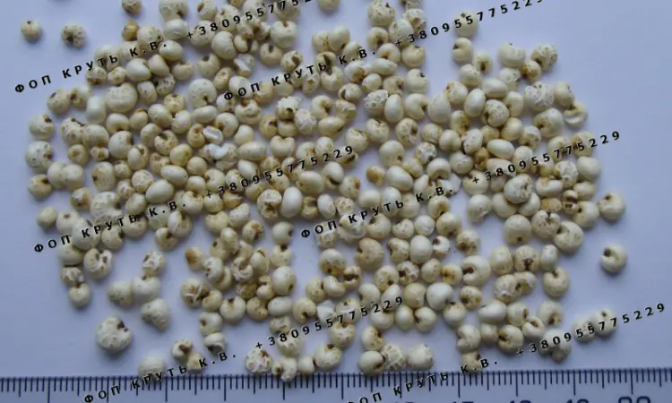 Воздушное пшено высаженное 1кг Puffed millet - фото № 1