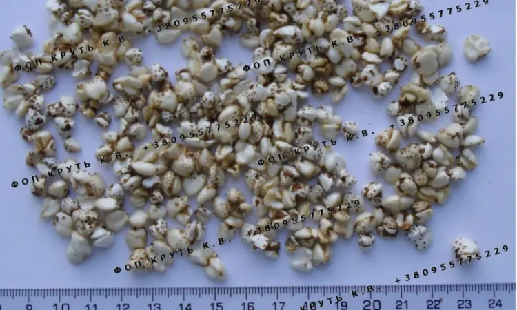 Гречка высаженная воздушная 1кг Puffed buckwheat - фото № 1