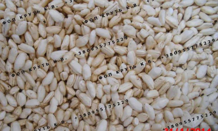 Рис повітряний висаджений 1кг Puffed rice - фото № 1