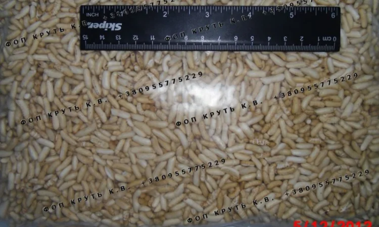 Рис повітряний висаджений Puffed rice - фото № 2