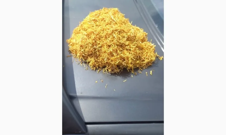 Продаж табак ОПТОМ - фото № 1