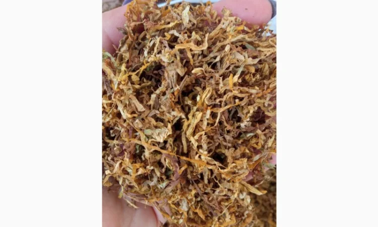 Бонд, Кемел, Ротманс, Вест, ЛД, Прилуки, Мальборо - фото № 2