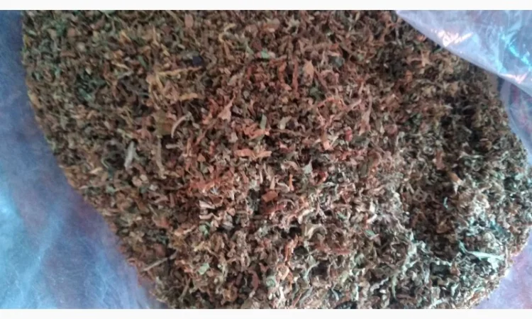 Бонд, Кемел, Ротманс, Вест, ЛД, Прилуки, Мальборо - фото № 5