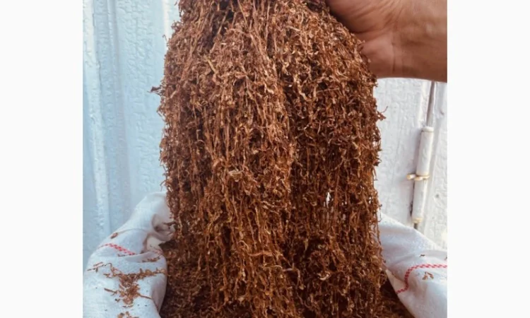 Продам табак цена за 1 кг от 380 грн - фото № 3