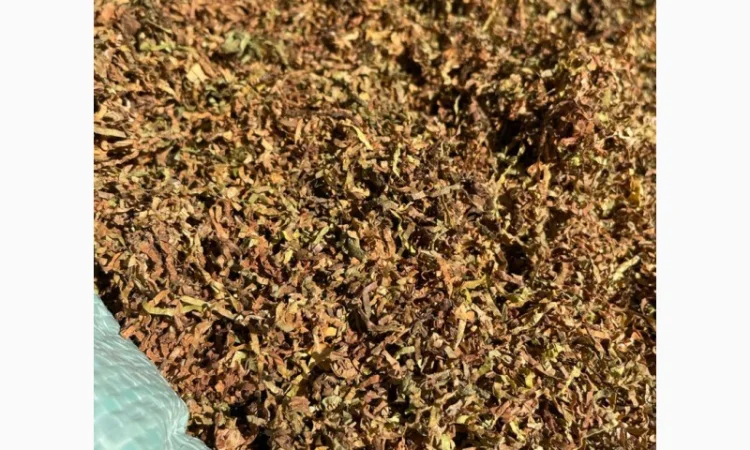 Продам табак цена за 1 кг от 380 грн - фото № 4