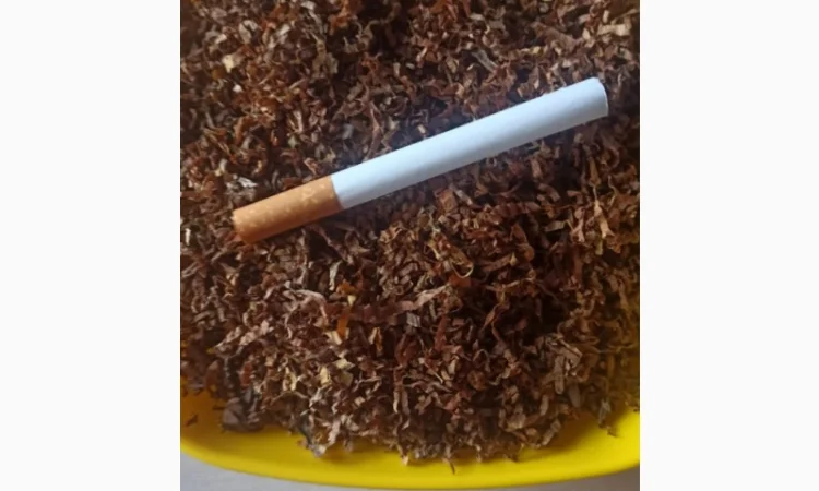 ФАБРИКА, МАЛЬБОРО, золотое руно, Кентукки, ВИНСТОН, кент, и много других сортов - фото № 1