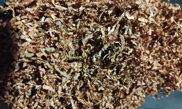 ФАБРИКА, МАЛЬБОРО, золотое руно, Кентукки, ВИНСТОН, кент, и много других сортов - фото № 5