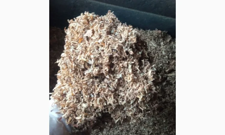 ФАБРИКА, МАЛЬБОРО, золотое руно, Кентукки, ВИНСТОН, кент, и много других сортов - фото № 6