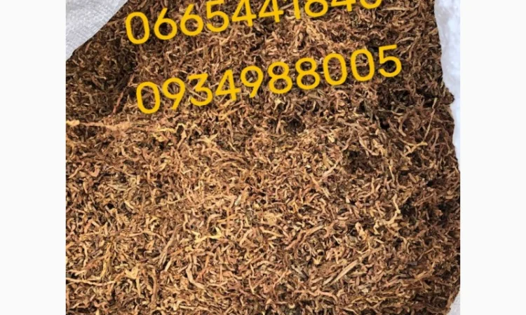 Якісний тютюн Парламент Голд Бонд Берлі Вірджинія Руно Прилуки Кемел Мальбро Гавана Є ОПТ - фото № 4