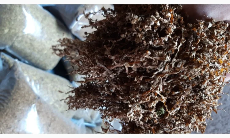 Продам табак хорошего качества импортный и фабричный по доступным ценам - фото № 3