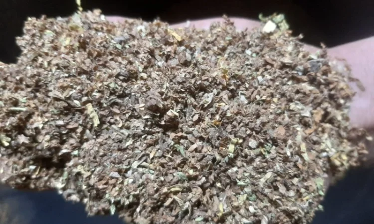 Продам табак хорошего качества импортный и фабричный по доступным ценам - фото № 5