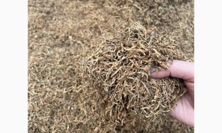 Опт та роздріб продажу тютюну та аксесуарів у Києві - фото № 7