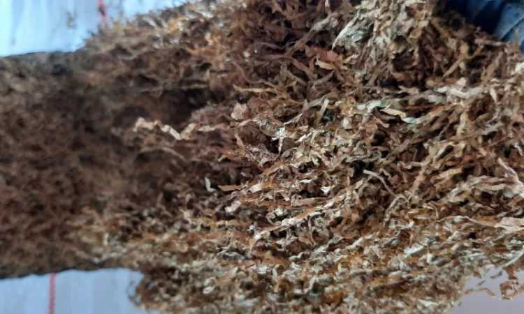 Продам табак хорошего качества, разных сортов, вкусов и порезки. Вайбер 50 076 99 95 - фото № 3