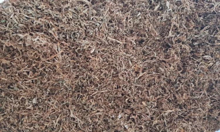 Продам табак хорошего качества, разных сортов, вкусов и порезки. Вайбер 50 076 99 95 - фото № 2