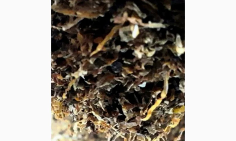 Много сортов сигаретная порезка и лапша, кемел, Честер, Давидов, парламент, голд, руно - фото № 3