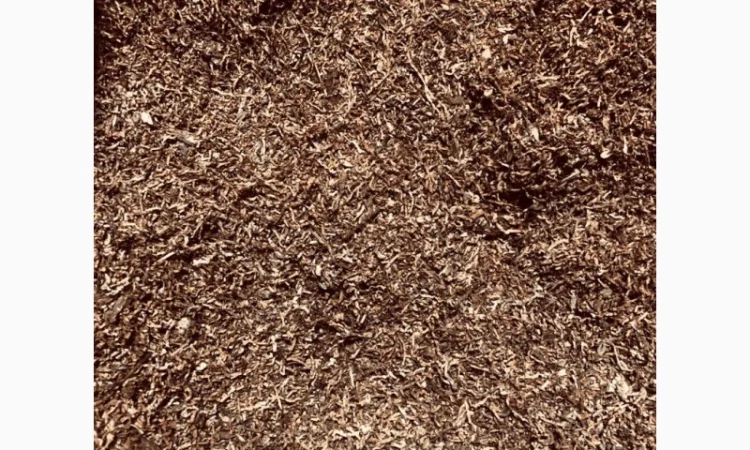 Вірджинія Голд, Берлі, Вірджинія - фото № 1