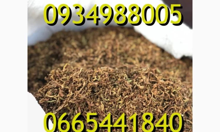 Тютюн Опт та Роздріб Гавана Дюбек Вірджинія Руно Голд Вінстон Кап Блек Махорка Парламент - фото № 9