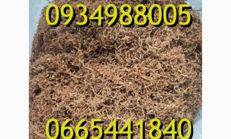 Тютюн Опт та Роздріб Гавана Дюбек Вірджинія Руно Голд Вінстон Кап Блек Махорка Парламент - фото № 2