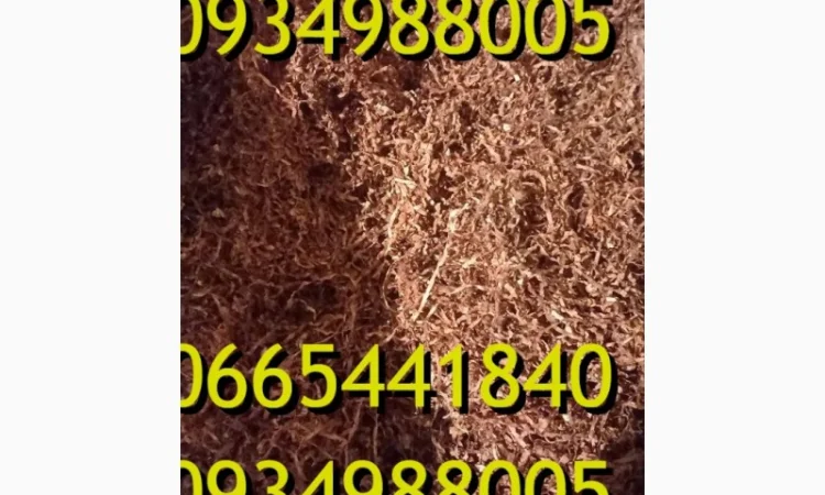 Тютюн Опт та Роздріб Гавана Дюбек Вірджинія Руно Голд Вінстон Кап Блек Махорка Парламент - фото № 3