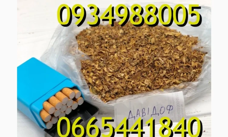 Тютюн Опт та Роздріб Гавана Дюбек Вірджинія Руно Голд Вінстон Кап Блек Махорка Парламент - фото № 5