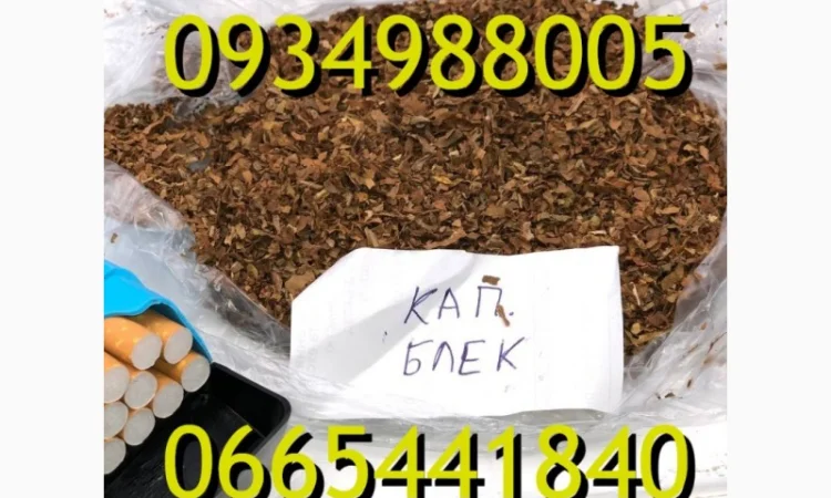 Тютюн Опт та Роздріб Гавана Дюбек Вірджинія Руно Голд Вінстон Кап Блек Махорка Парламент - фото № 6