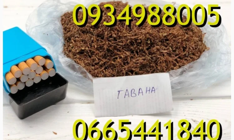 Тютюн Опт та Роздріб Гавана Дюбек Вірджинія Руно Голд Вінстон Кап Блек Махорка Парламент - фото № 7