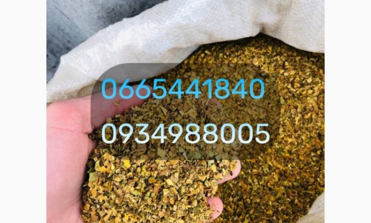 Вірджинія Берлі хлопья - фото № 15