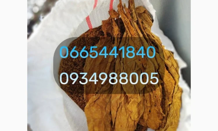 Вірджинія Берлі хлопья - фото № 12