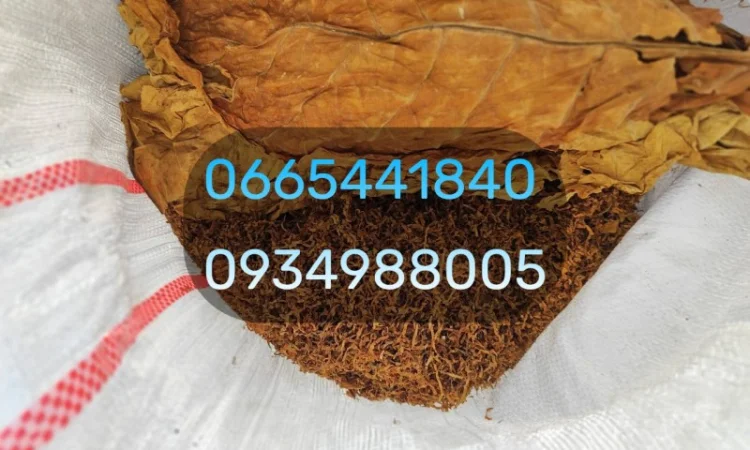 Вірджинія Берлі хлопья - фото № 11