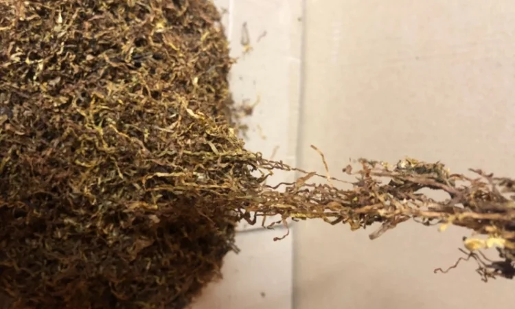 Продам ТАБАК для сигарет 1 кг ,  Отличного Качества - фото № 4