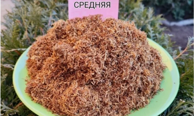 Тютюнець для самокруток. Продаж від 100 грам - фото № 3