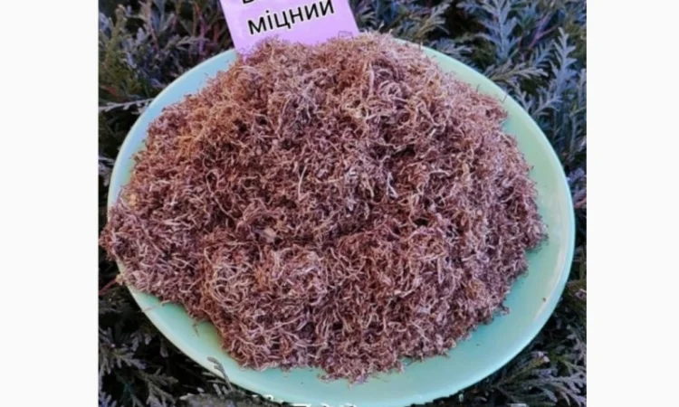 Тютюнець для самокруток. Продаж від 100 грам - фото № 5